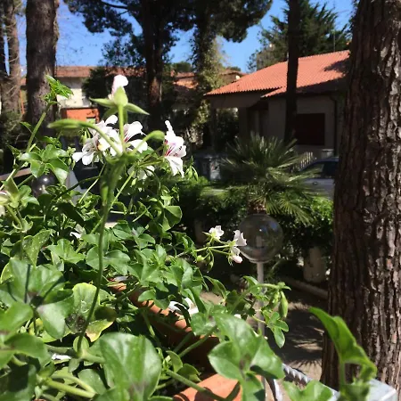 Alice Hotel Cervia
